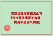 灵芝盆栽推荐语怎么写好(推荐优质灵芝盆栽，提高家居空气质量)