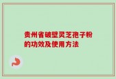 贵州省破壁灵芝孢子粉的功效及使用方法