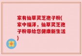 家有仙草灵芝孢子粉(家中福泽，仙草灵芝孢子粉带给您健康新生活)
