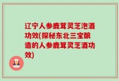 辽宁人参鹿茸灵芝泡酒功效(探秘东北三宝酿造的人参鹿茸灵芝酒功效)
