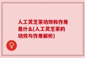 人工灵芝茶功效和作用是什么(人工灵芝茶的功效与作用解析)