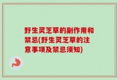 野生灵芝草的副作用和禁忌(野生灵芝草的注意事项及禁忌须知)