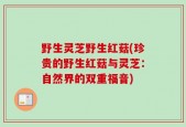 野生灵芝野生红菇(珍贵的野生红菇与灵芝：自然界的双重福音)