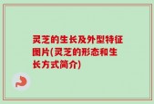 灵芝的生长及外型特征图片(灵芝的形态和生长方式简介)