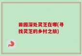 田园深处灵芝在哪(寻找灵芝的乡村之旅)