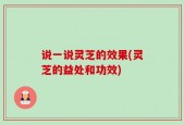说一说灵芝的效果(灵芝的益处和功效)
