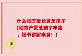 什么地方爱长灵芝孢子(地方产灵芝孢子丰富，细节讲解来袭！)