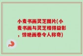 小麦书画灵芝图片(小麦书画与灵芝相得益彰，惊艳画卷令人称奇)