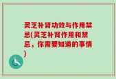 灵芝补肾功效与作用禁忌(灵芝补肾作用和禁忌，你需要知道的事情)