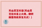 天山灵芝抖音(天山灵芝在抖音上火爆，翻转颠覆传统养生方式！)