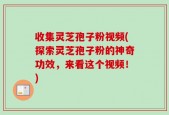 收集灵芝孢子粉视频(探索灵芝孢子粉的神奇功效，来看这个视频！)