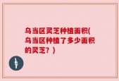 乌当区灵芝种植面积(乌当区种植了多少面积的灵芝？)