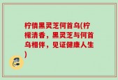 柠倩黑灵芝何首乌(柠檬清香，黑灵芝与何首乌相伴，见证健康人生)