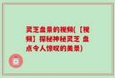 灵芝盘景的视频(【视频】探秘神秘灵芝 盘点令人惊叹的美景)