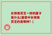 长得像灵芝一样的菌子是什么(菌类中长得像灵芝的是哪种？)