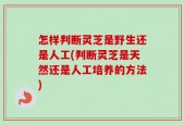 怎样判断灵芝是野生还是人工(判断灵芝是天然还是人工培养的方法)