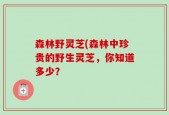 森林野灵芝(森林中珍贵的野生灵芝，你知道多少？