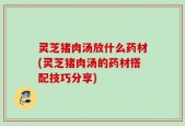 灵芝猪肉汤放什么药材(灵芝猪肉汤的药材搭配技巧分享)