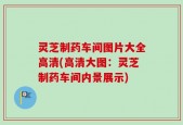 灵芝制药车间图片大全高清(高清大图：灵芝制药车间内景展示)