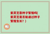 紫灵芝靠种子繁殖吗(紫灵芝是否能通过种子繁殖生长？)