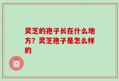灵芝的孢子长在什么地方？灵芝孢子是怎么样的