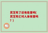 灵芝死了还有危害吗(灵芝死亡对人体有害吗？)