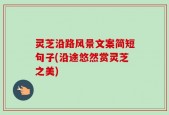 灵芝沿路风景文案简短句子(沿途悠然赏灵芝之美)