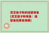 灵芝孢子粉的挂壁现象(灵芝孢子粉现象：墙壁悬挂黑色物质)