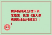 拔笋摘到灵芝(拔下灵芝原生，批准《重大疾病保险金给付规定》！)