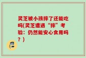 灵芝被小孩摔了还能吃吗(灵芝遭遇“摔”考验：仍然能安心食用吗？)