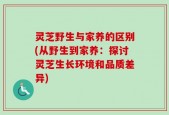灵芝野生与家养的区别(从野生到家养：探讨灵芝生长环境和品质差异)