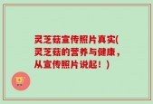 灵芝菇宣传照片真实(灵芝菇的营养与健康，从宣传照片说起！)