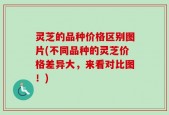 灵芝的品种价格区别图片(不同品种的灵芝价格差异大，来看对比图！)