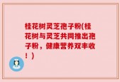 桂花树灵芝孢子粉(桂花树与灵芝共同推出孢子粉，健康营养双丰收！)