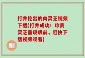 打井挖出的肉灵芝视频下载(打井成功！珍贵灵芝重现眼前，赶快下载视频观看)