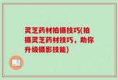 灵芝药材拍摄技巧(拍摄灵芝药材技巧，助你升级摄影技能)