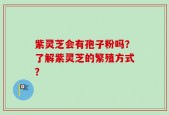 紫灵芝会有孢子粉吗？了解紫灵芝的繁殖方式？