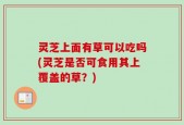 灵芝上面有草可以吃吗(灵芝是否可食用其上覆盖的草？)