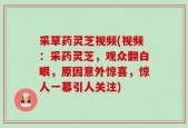 采草药灵芝视频(视频：采药灵芝，观众翻白眼，原因意外惊喜，惊人一幕引人关注)