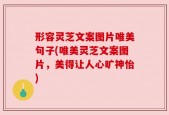 形容灵芝文案图片唯美句子(唯美灵芝文案图片，美得让人心旷神怡)