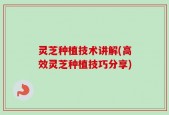 灵芝种植技术讲解(高效灵芝种植技巧分享)