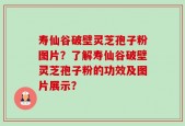 寿仙谷破壁灵芝孢子粉图片？了解寿仙谷破壁灵芝孢子粉的功效及图片展示？