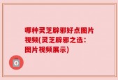 哪种灵芝辟邪好点图片视频(灵芝辟邪之选：图片视频展示)