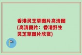 香港灵芝草图片高清图(高清图片：香港野生灵芝草图片欣赏)