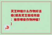灵芝种植什么作物好活些(提高灵芝栽培效益：推荐哪些作物种植？)