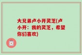 大兄弟卢小开灵芝(卢小开：我的灵芝，希望你们喜欢)