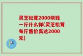 灵芝松茸2000块钱一斤什么样(灵芝松茸每斤售价高达2000元)
