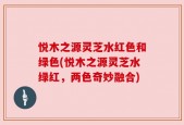 悦木之源灵芝水红色和绿色(悦木之源灵芝水绿红，两色奇妙融合)
