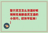 整只灵芝怎么泡酒好呢视频完美酿造灵芝酒的小技巧，赶快学起来！)