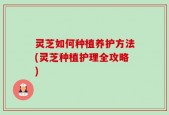灵芝如何种植养护方法(灵芝种植护理全攻略)